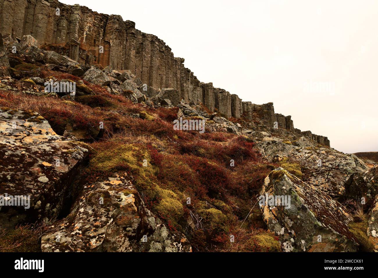 Gerðubergis a dolerite cliff, a coarse-grained basalt rock, located on the western peninsula of Snæfellsnes Stock Photo