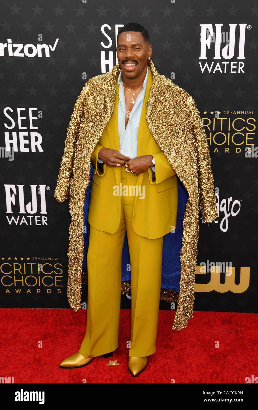 SANTA MONICA, CALIFORNIA - JANUARY 14: Coleman Domingo attends the 29th