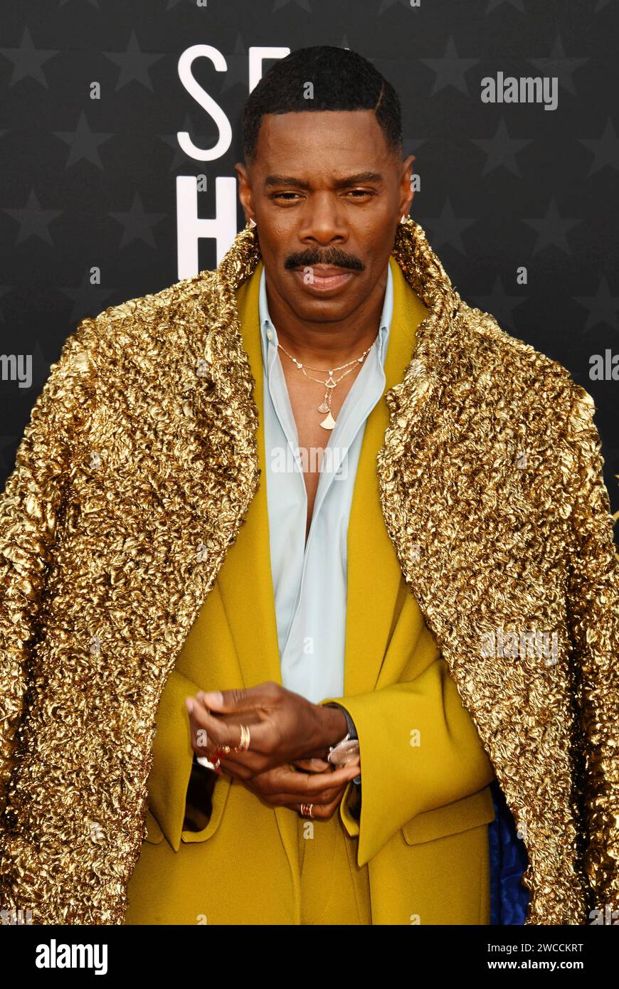 SANTA MONICA, CALIFORNIA - JANUARY 14: Coleman Domingo attends the 29th