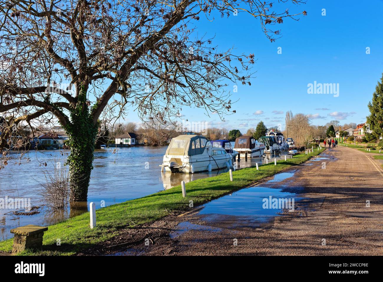 The River Thames at Laleham in near flood conditions, Staines Surrey England UK Stock Photo