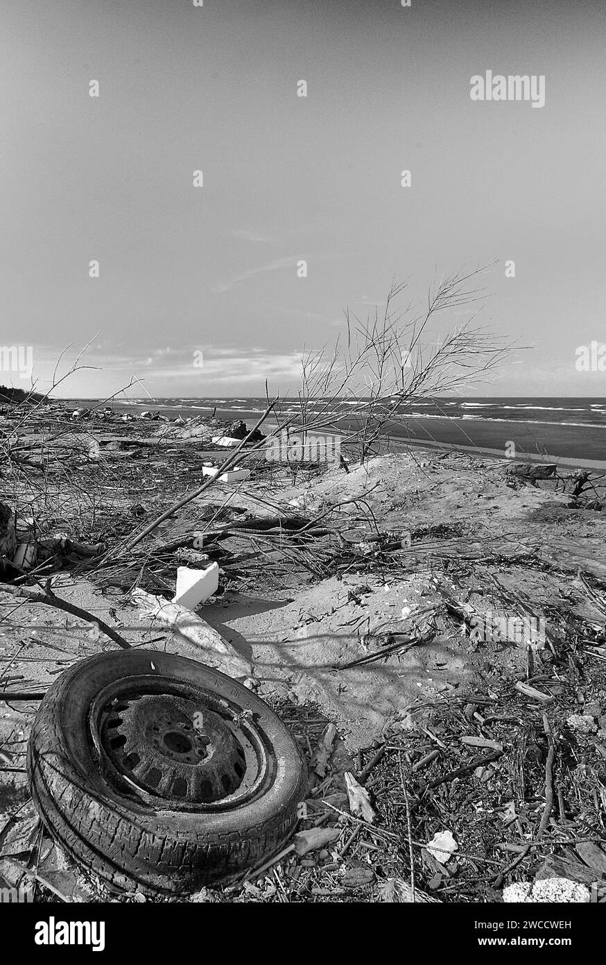 Boccasette (Ro), Po River Delta,Italy, some debris from he sea on he beach Stock Photo