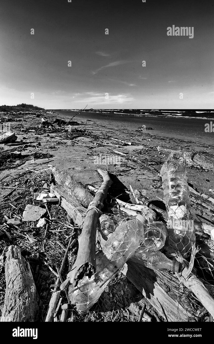 Boccasette (Ro), Po River Delta,Italy, some debris from he sea on he beach Stock Photo