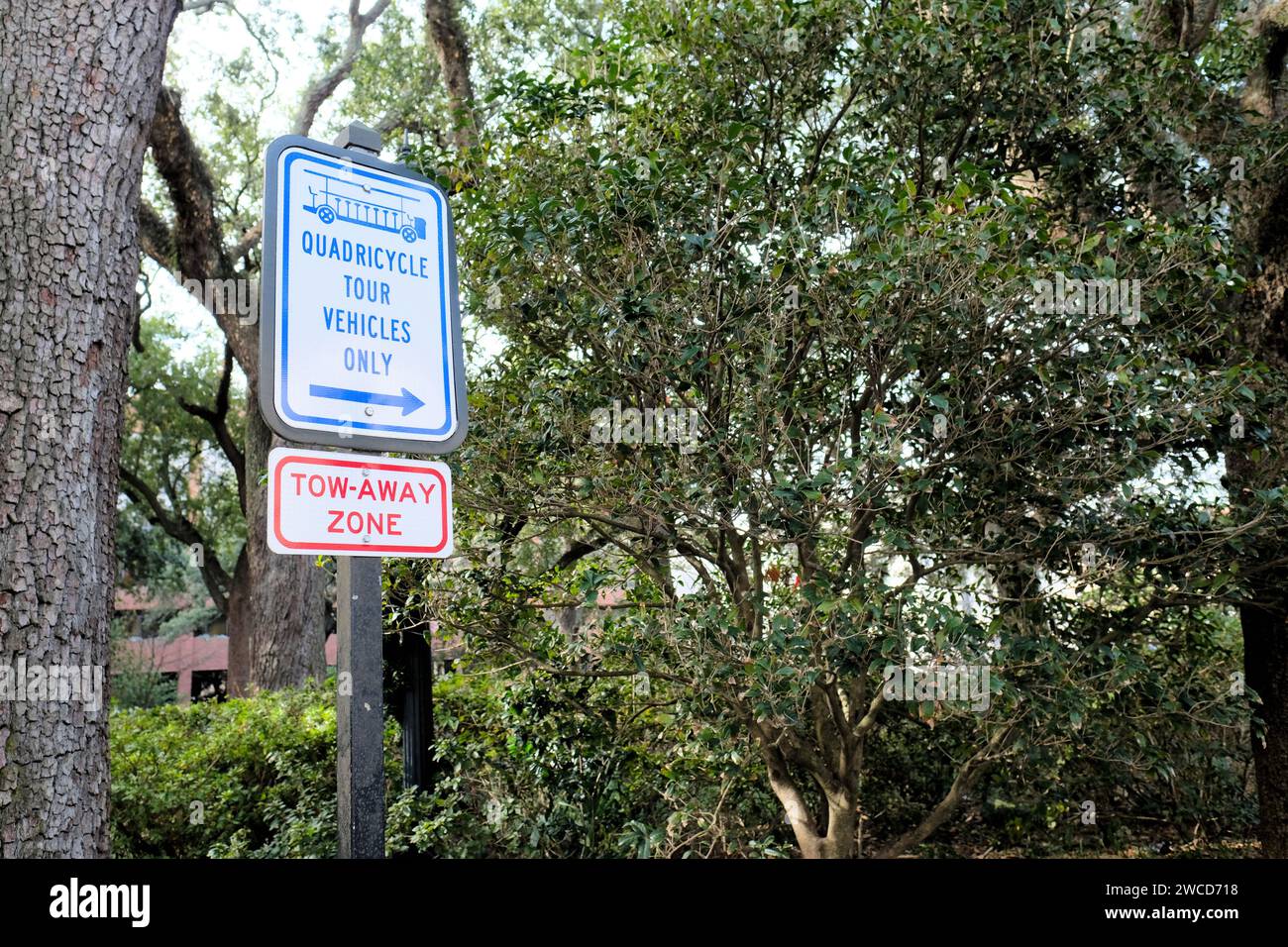 Sign in Savannah, for Quadricycle Tour path vehicles only