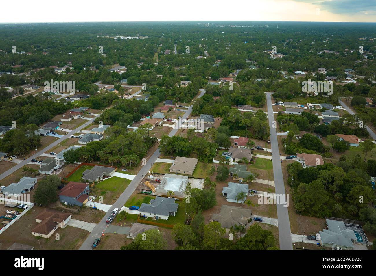 Aerial landscape view of suburban private houses between green palm ...