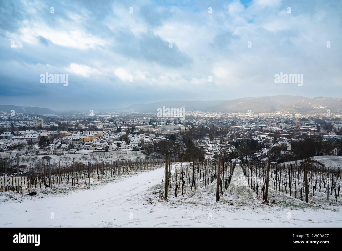 Vineyard with view of the ancient roman city of Trier covered in snow, Moselle Valley in Germany, winter landscape in rhineland palatine Stock Photo