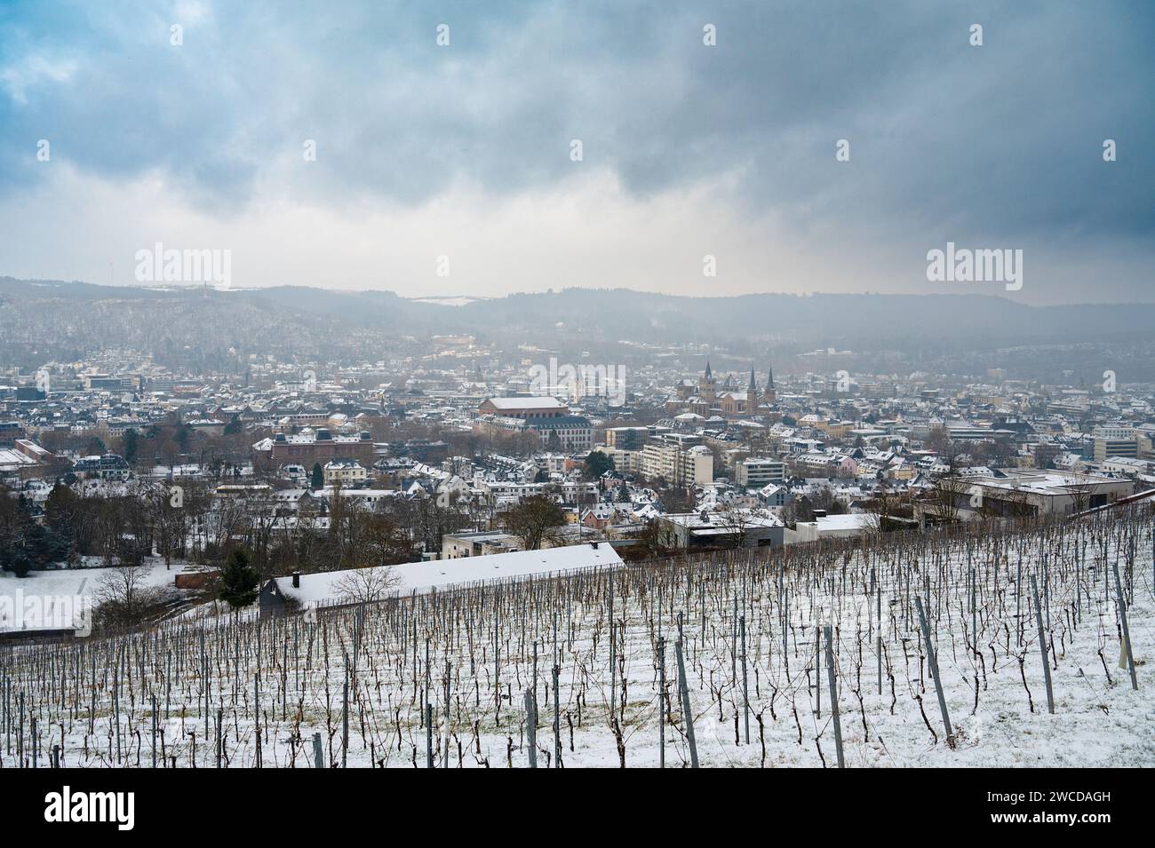 Vineyard with view of the ancient roman city of Trier covered in snow, Moselle Valley in Germany, winter landscape in rhineland palatine Stock Photo
