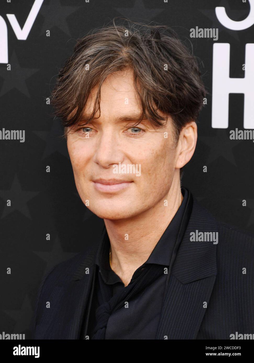 SANTA MONICA, CALIFORNIA JANUARY 14 Cillian Murphy attends the 29th