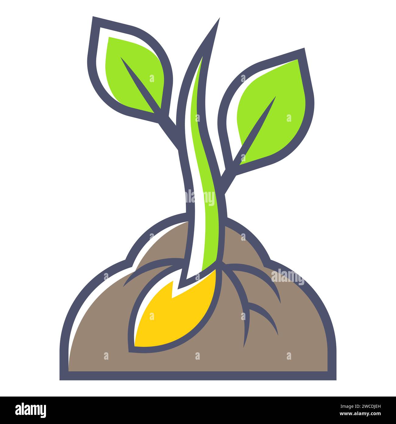 Seedling grown stock vector images alamy