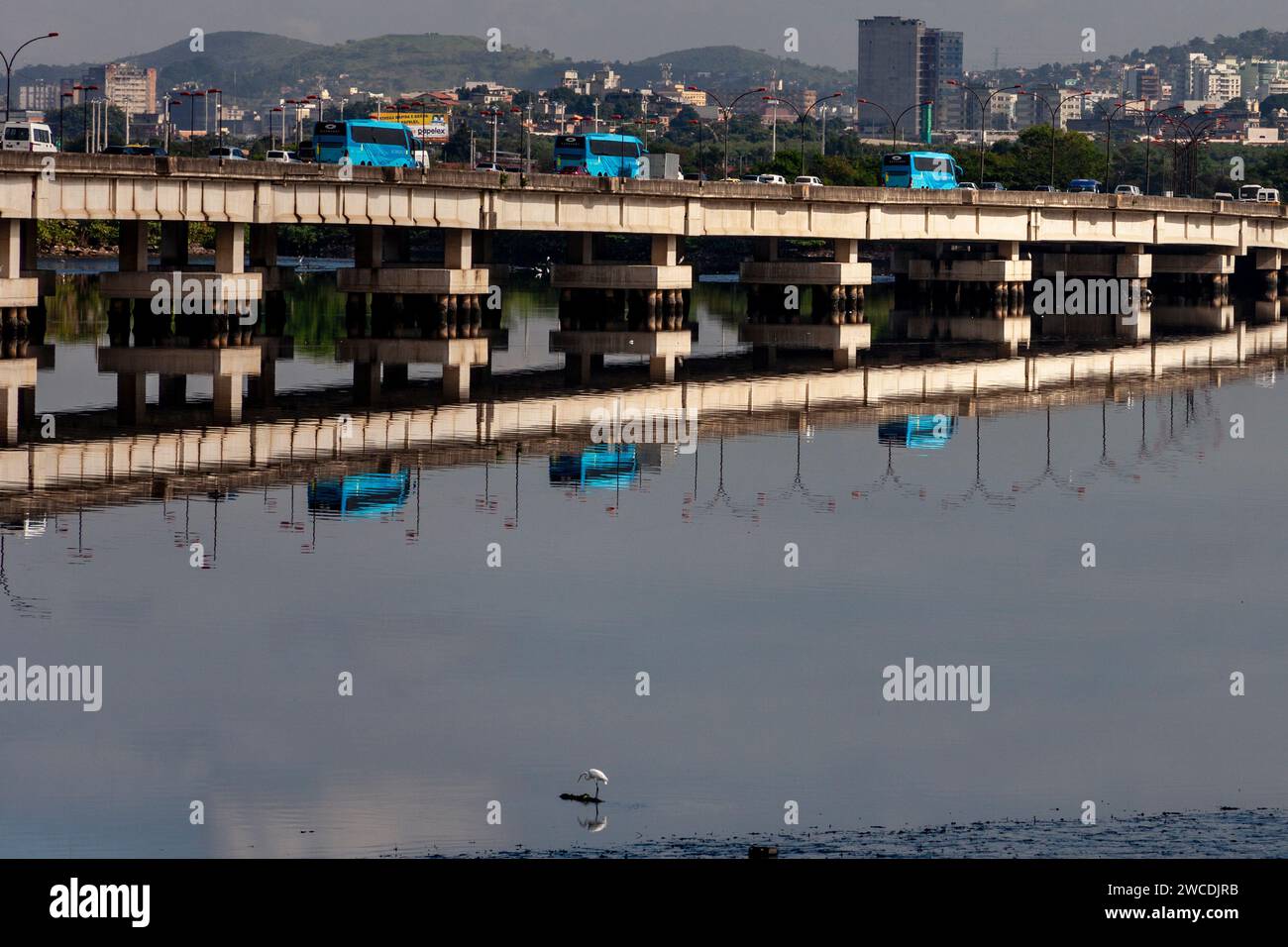 A lonely heron fishes on the polluted waters of Guanabara Bay just beside Linha Vermelha ( Red Line ), the main highway from the Rio de Janeiro international airport to the city centre. Stock Photo