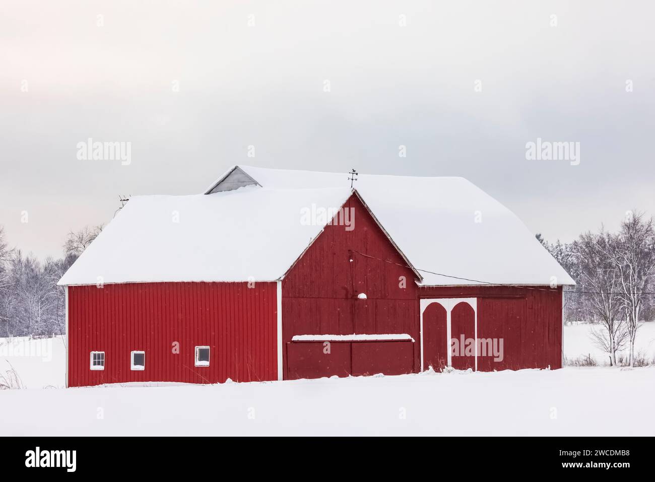 Classic red barn after a snowstorm in Mecosta County, Michigan, USA [no property release; editorial licensing only] Stock Photo