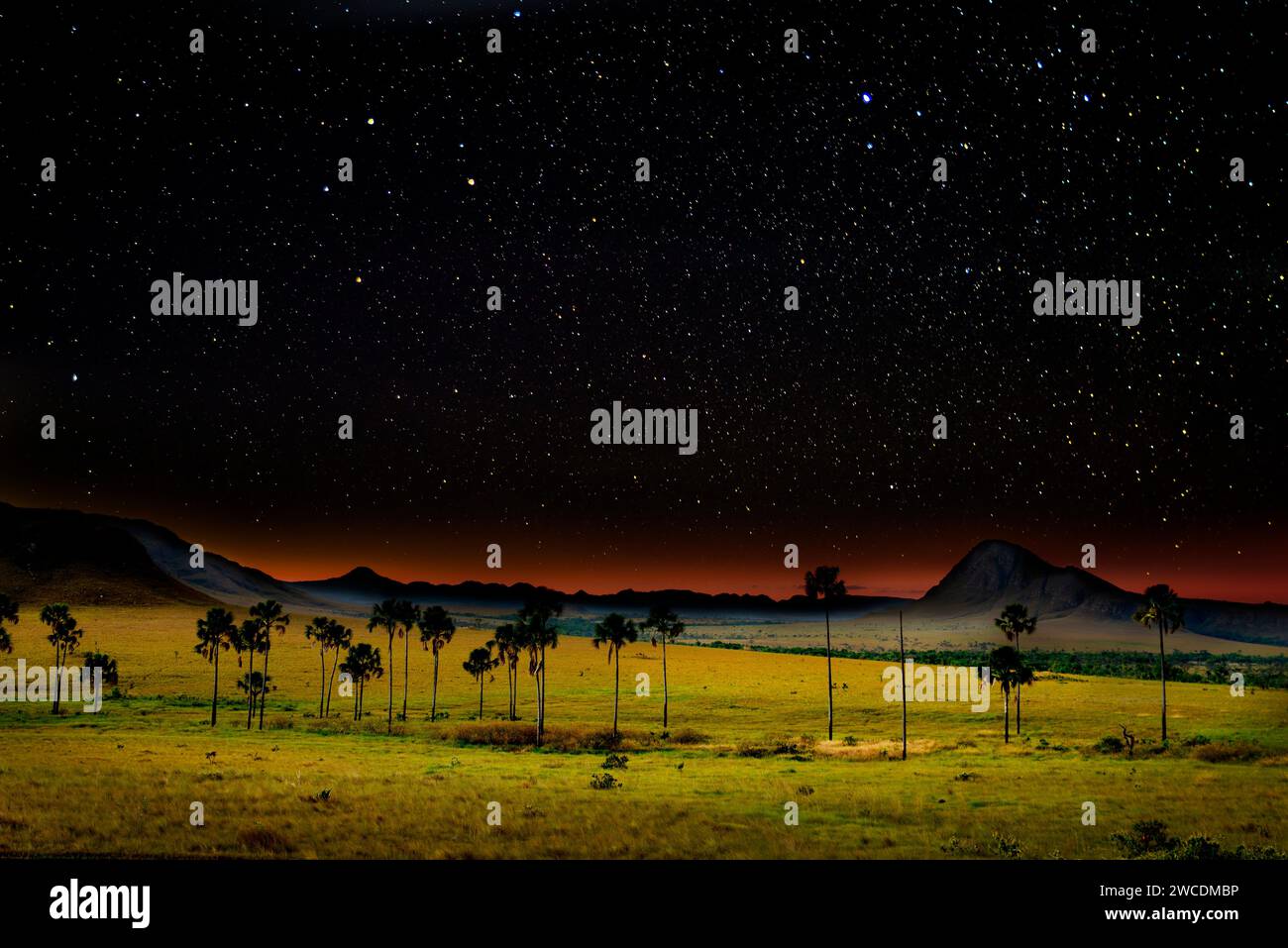 Beautiful starry night sky over the jardim de maytrea, chapada dos veadeiros, brazil Stock Photo