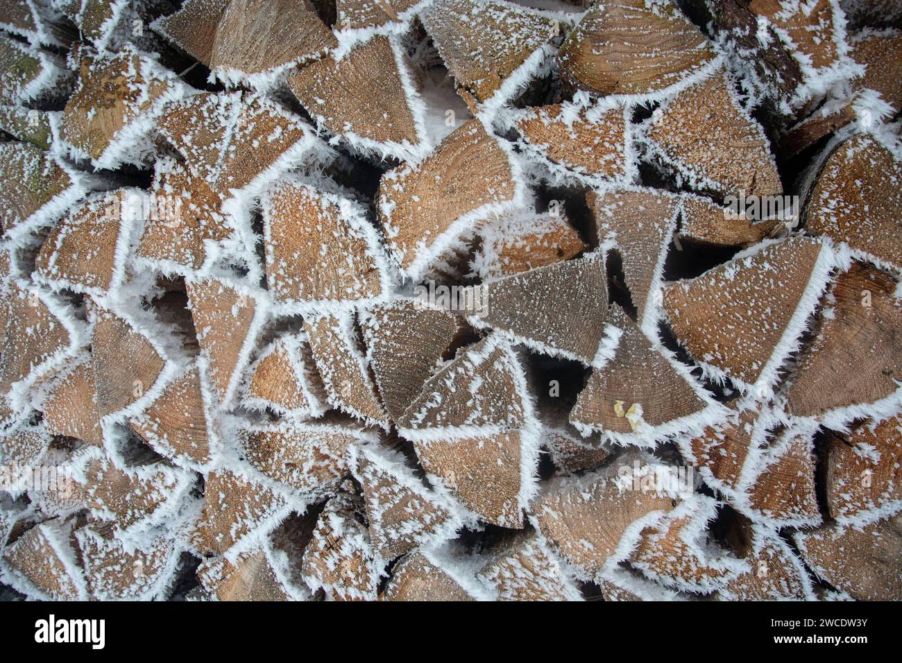 Raureif überzieht eine Winterlandschaft im Jura Stock Photo