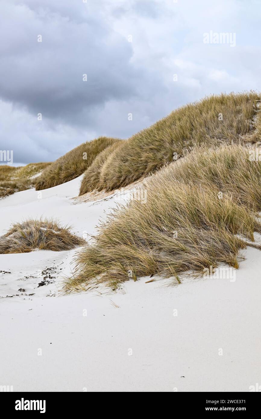 York Beach, Stanley,, Falkland Islands Stock Photo - Alamy