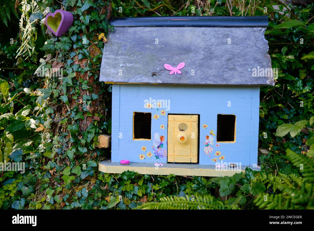 Blue Fairy house along the path of the Kerry way on the coast of Ireland.   House is blue with yellow door, in a green lush forest. Stock Photo