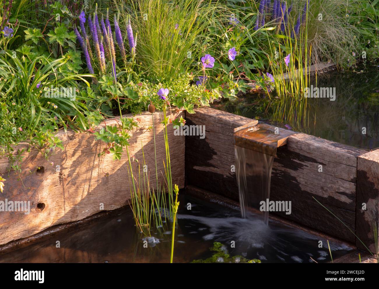 Molinia 'Karl Foster, Geranium and Veronicastrum virginicum around a cascade made from recycled scaffolding in the Nurturing Nature in the City Garden Stock Photo