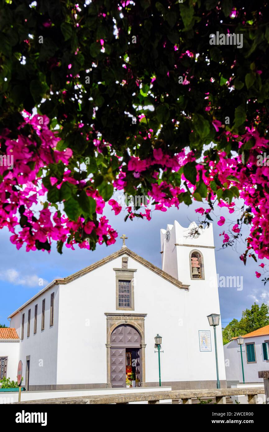 Santana Parish Church, Igreja Matriz de Santana framed by bougainvillea spectabilis flowering ornamental vine, Santana, Madeira Island, Portugal Stock Photo