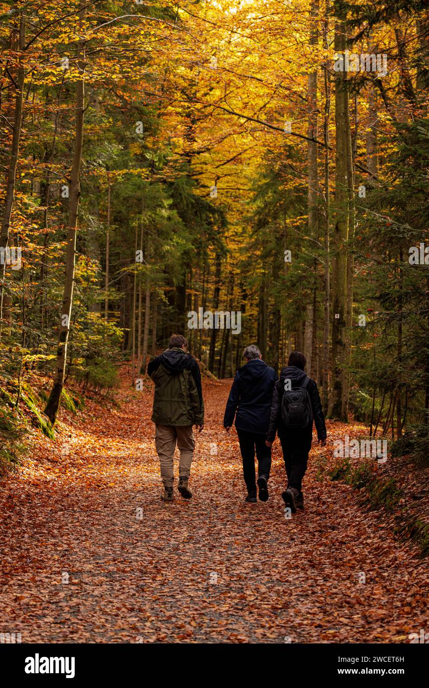 Bayerischer wald wandern hi-res stock photography and images - Alamy