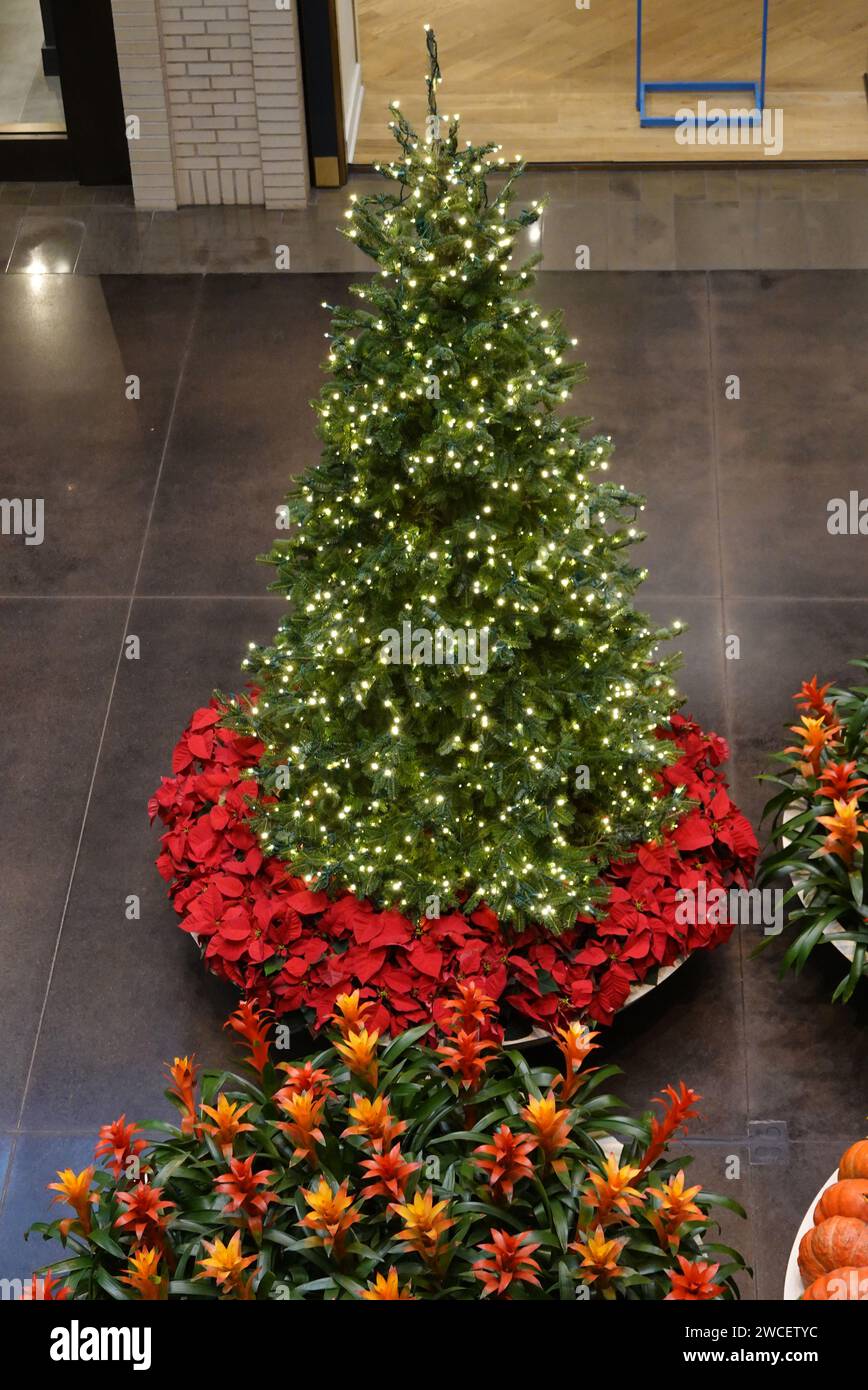 Christmas tree at Northpark Center shopping mall  - November 2023 Stock Photo