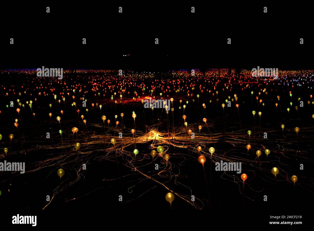 Amber & green frosted-glass spheres, the many coloured lights of Field of Light, an art installation by artist Bruce Munro Uluru in Central Australia Stock Photo