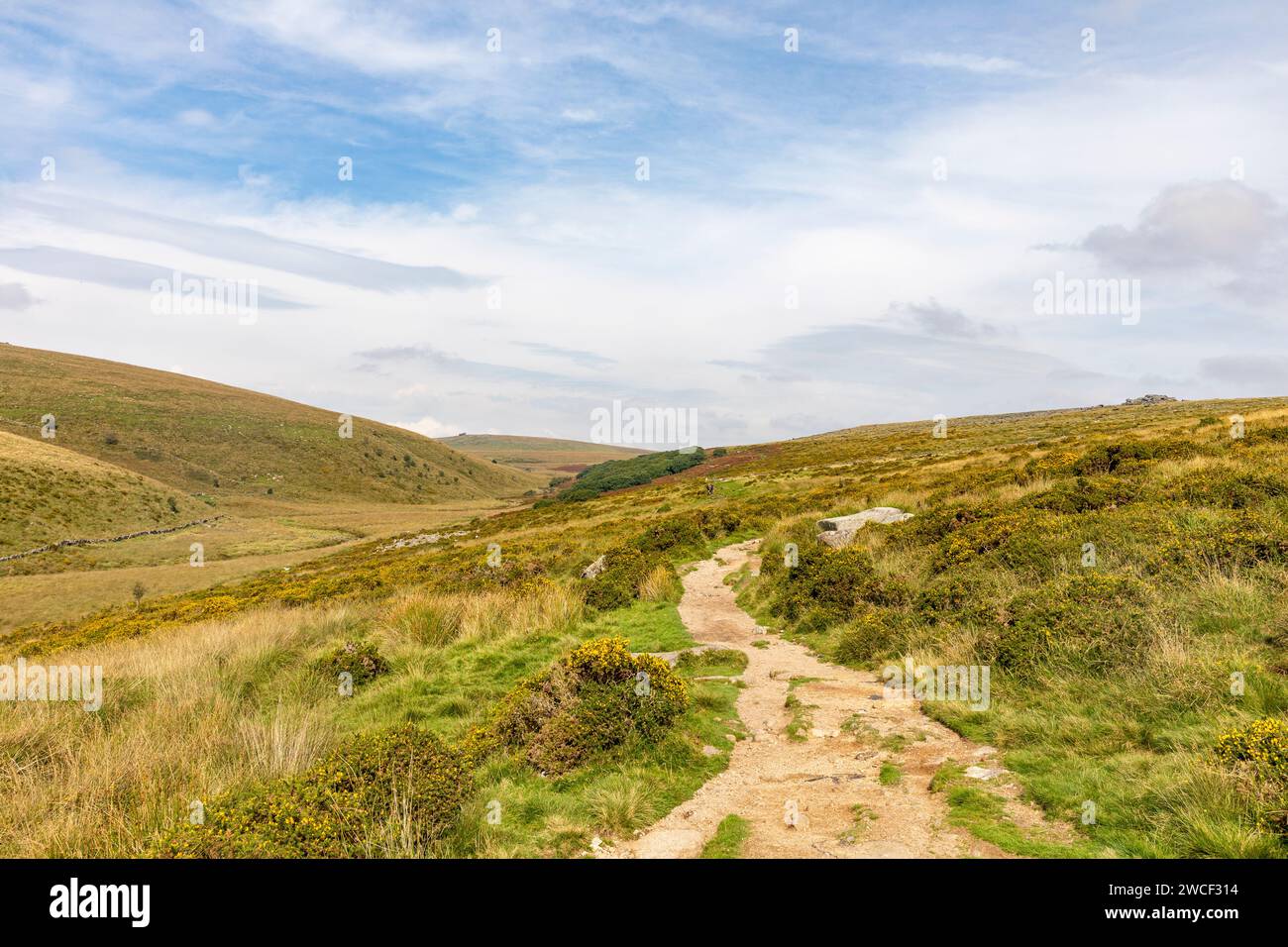 West Dart valley in Dartmoor national park, with walking trail to ...