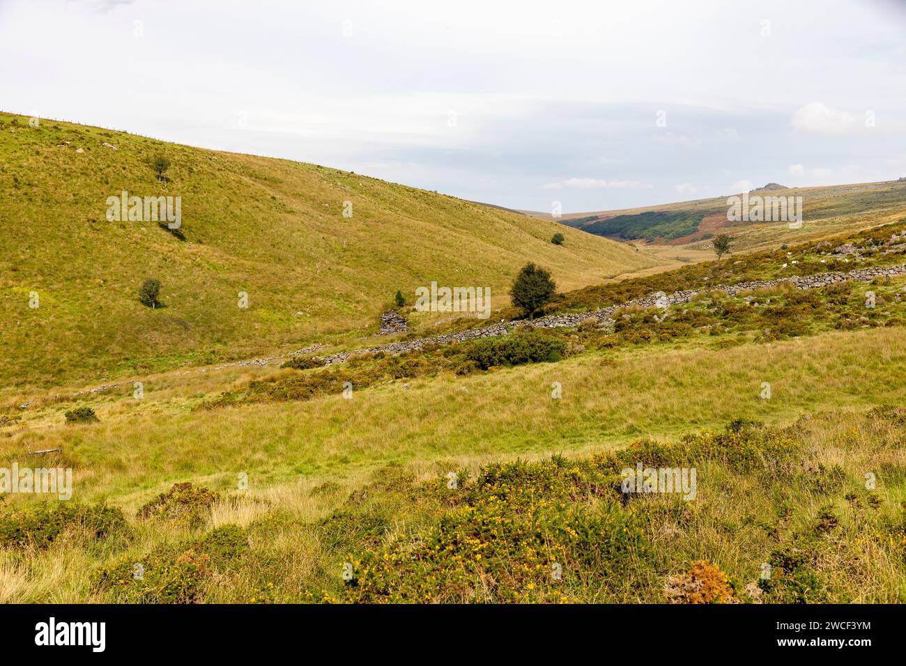 English countryside, autumn 2023, West Dart valley in Dartmoor national ...