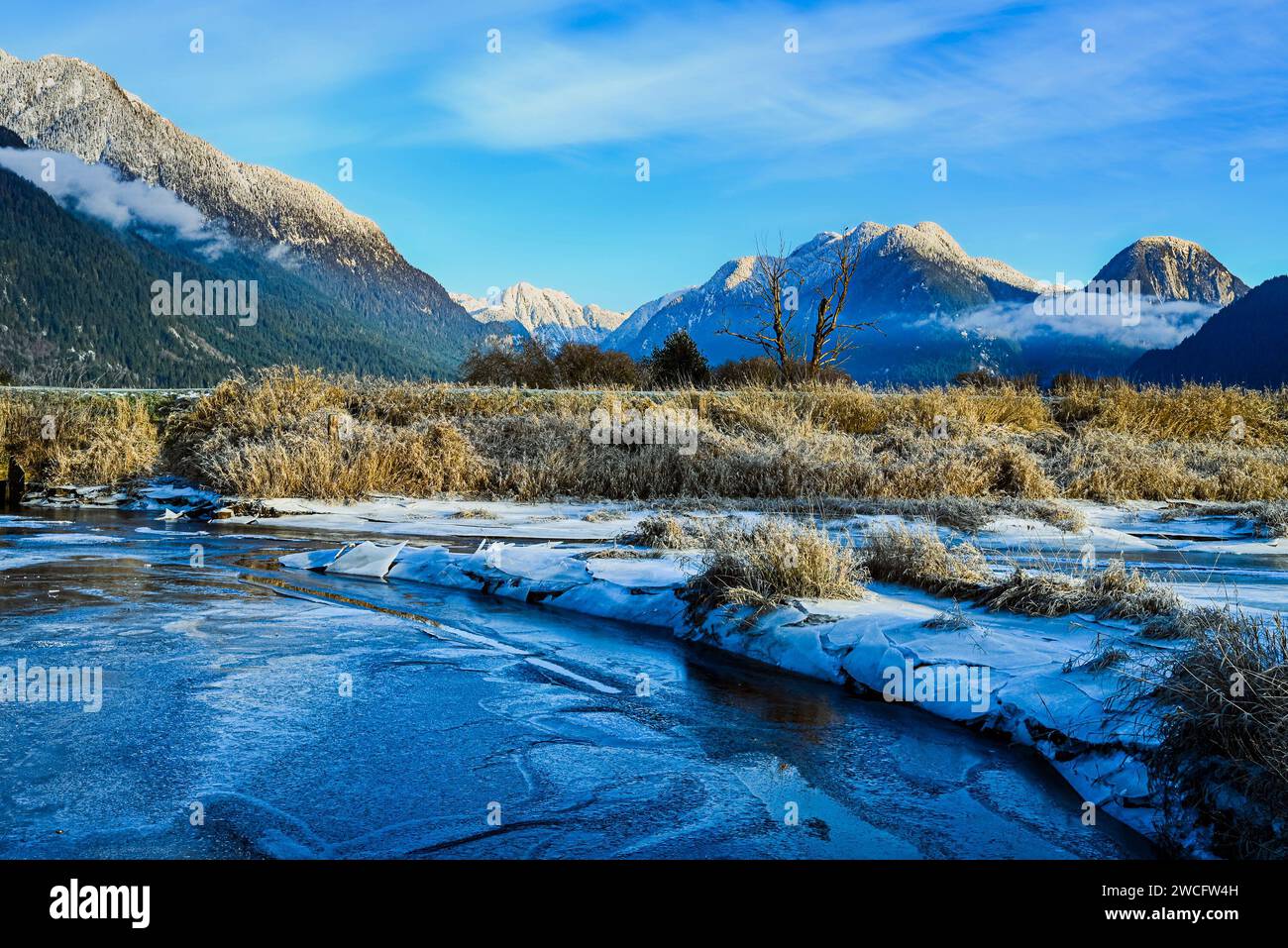 Winter, Grant Narrows Regional Park, Pitt Meadows, British Columbia, Canada Stock Photo