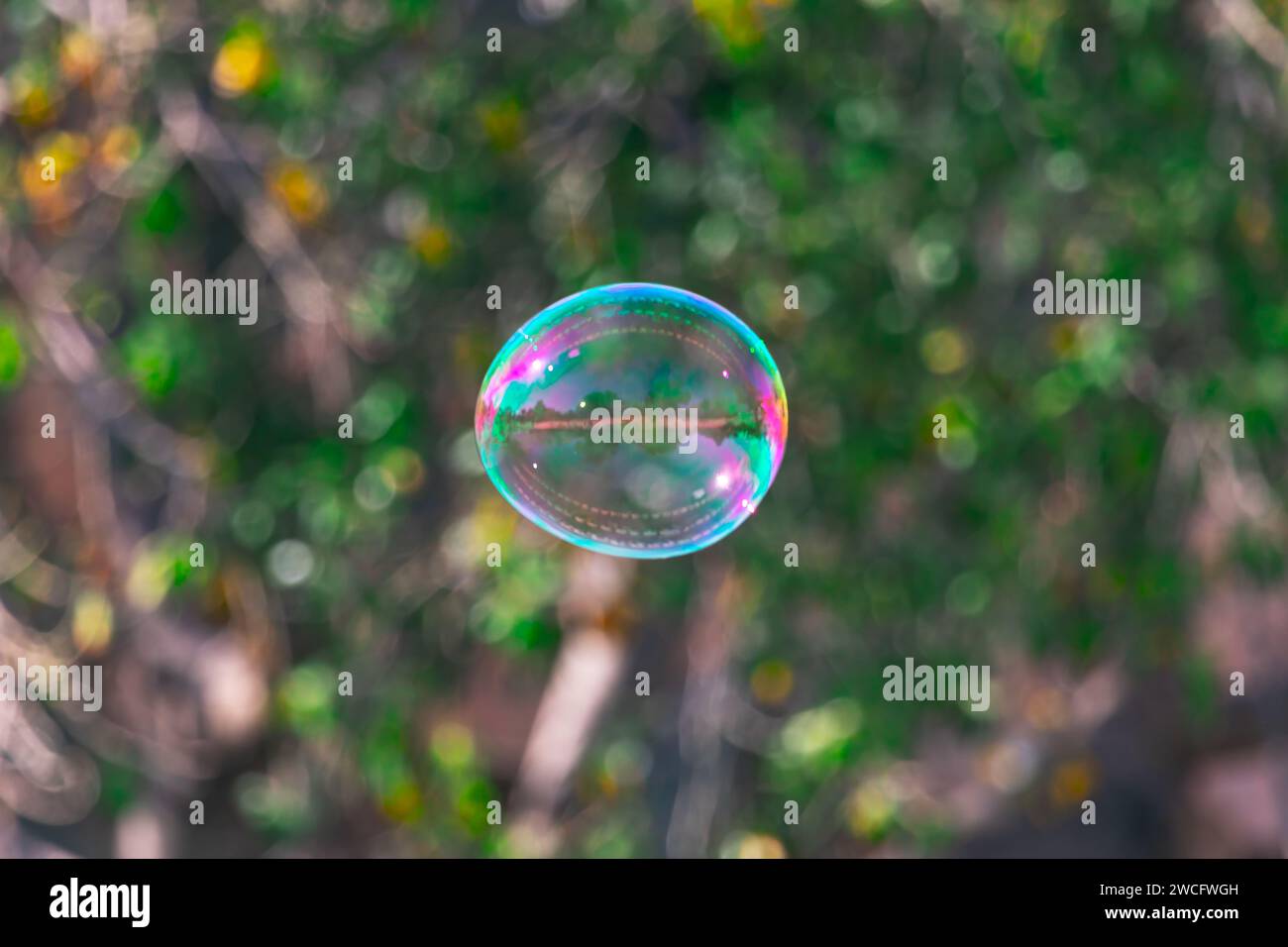 Soap bubble at green natural background . Soap bubbles floating in the ...
