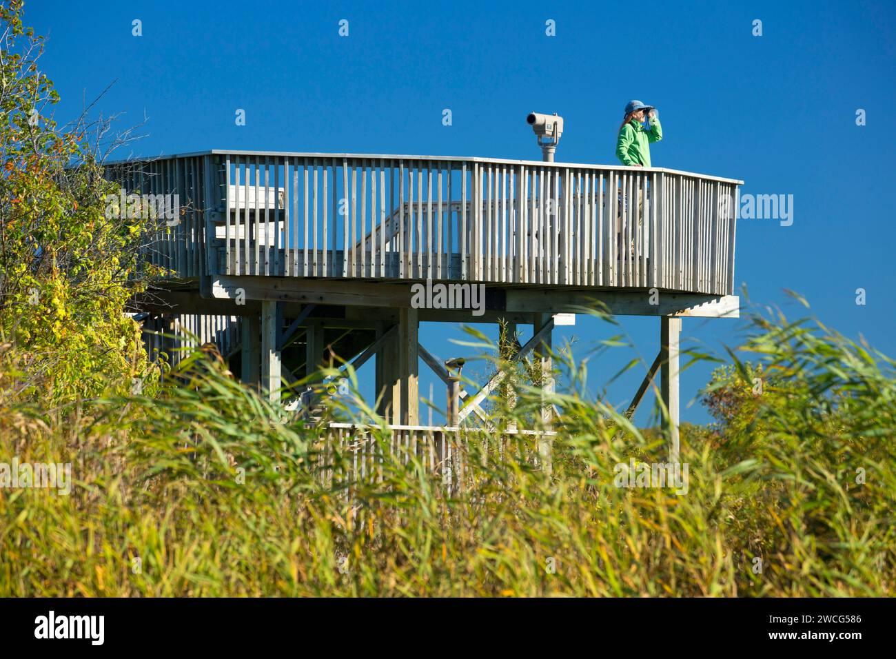 Rice Lake Observation Tower, Rice Lake National Wildlife Refuge