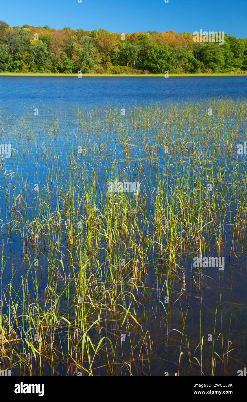 Mandy Lake, Rice Lake National Wildlife Refuge, Minnesota Stock Photo