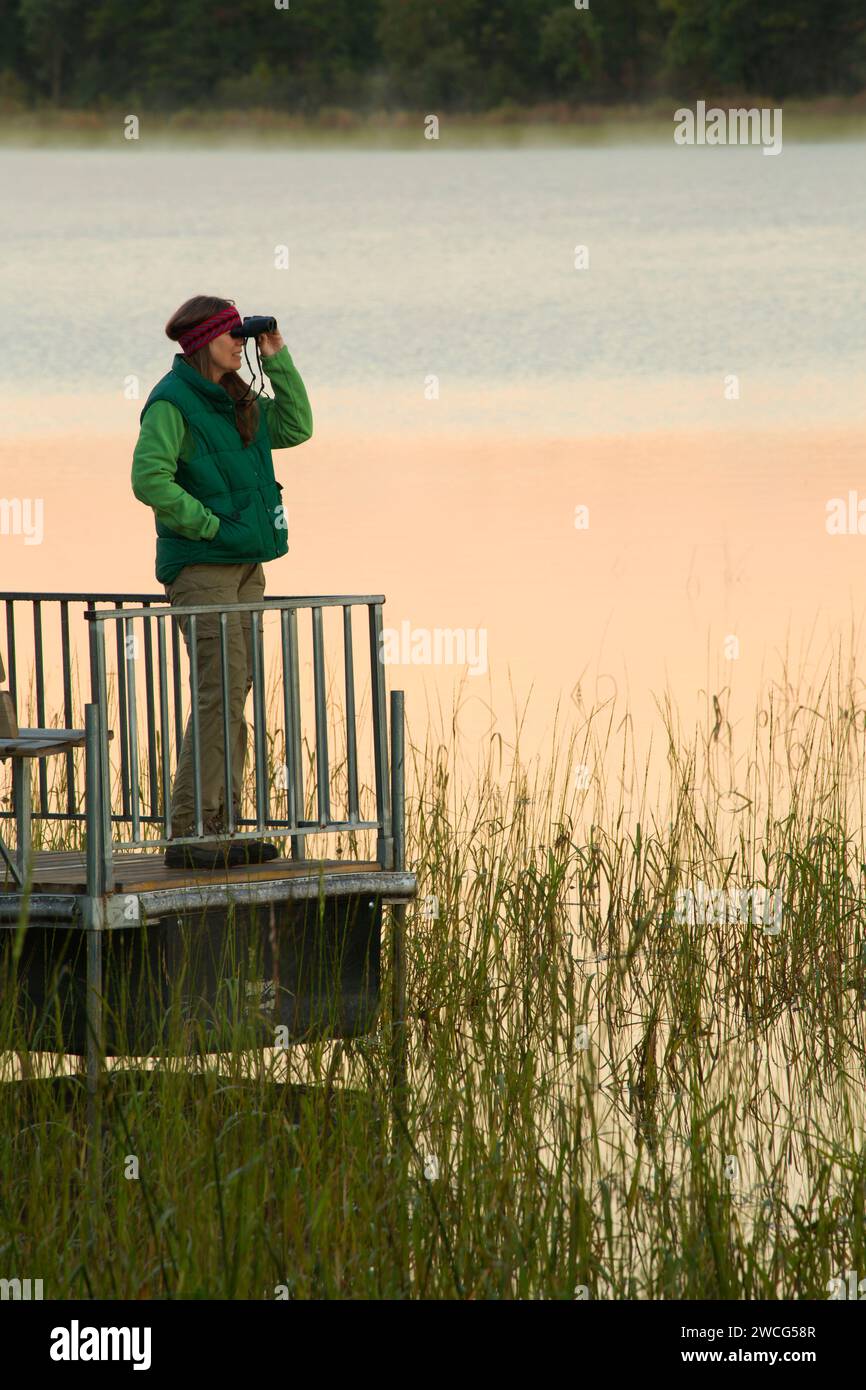 Mandy Lake dock, Rice Lake National Wildlife Refuge, Minnesota Stock