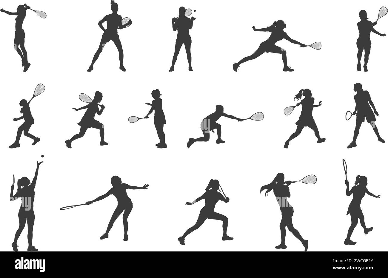 Squash female player silhouettes, Squash female players, Squash player vector, Female players silhouette, Squash silhouette Stock Vector