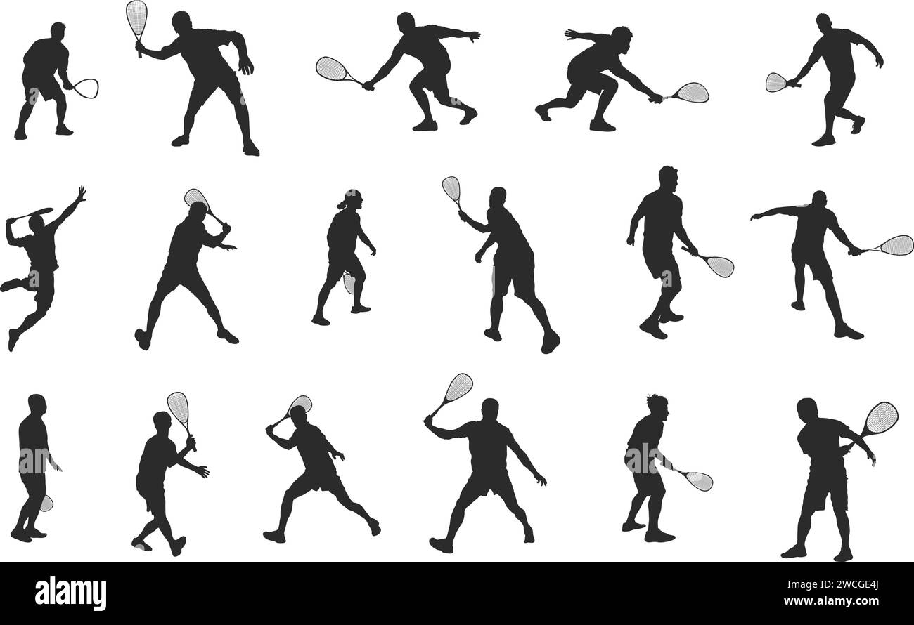 Squash players silhouette, Squash silhouette, Squash player vector, Players silhouette Stock Vector