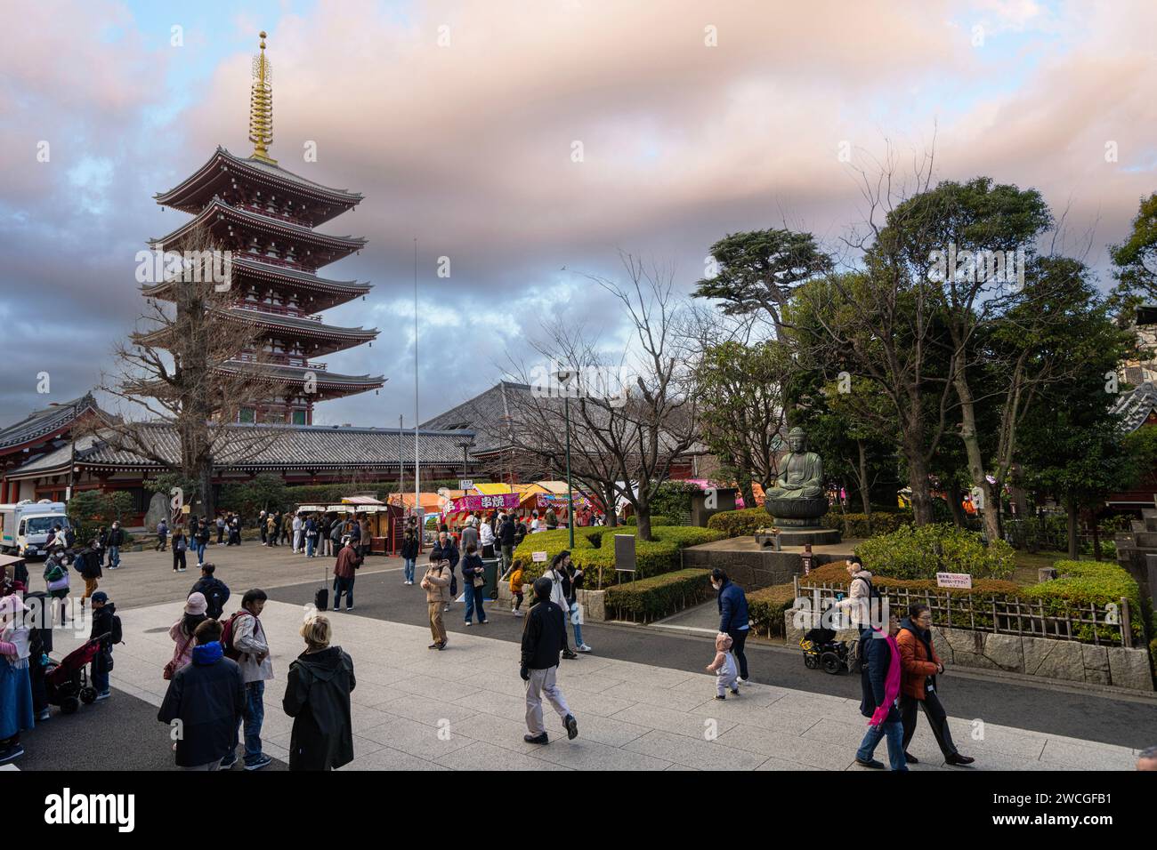 Tokyo, Japan. January 2024. panoramic view of FiveStoried Pagoda