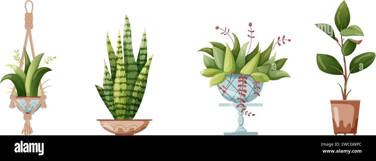 Houseplant and macrame plant growing in pots. Set of handmade home ...