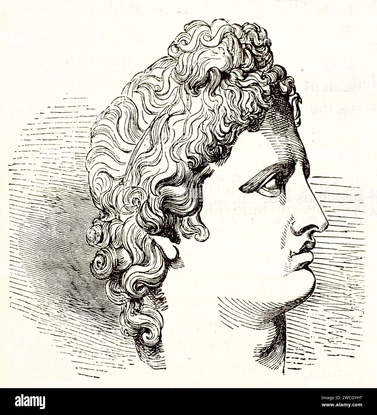 Apollo Belvedere head, classical profile of the Greek god in expressive engraved style. Published in 1878 in Brehm’s Mammifers, Paris. Stock Photo