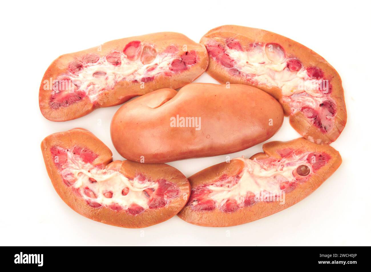 Pig kidney on a white background Stock Photo Alamy