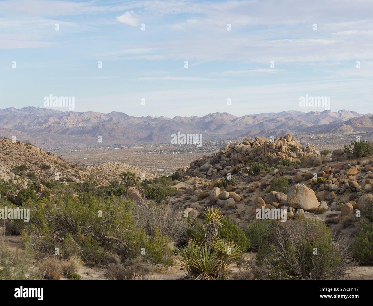 A stunning view of a desert landscape on a sunny day, with clear blue skies overhead Stock Photo