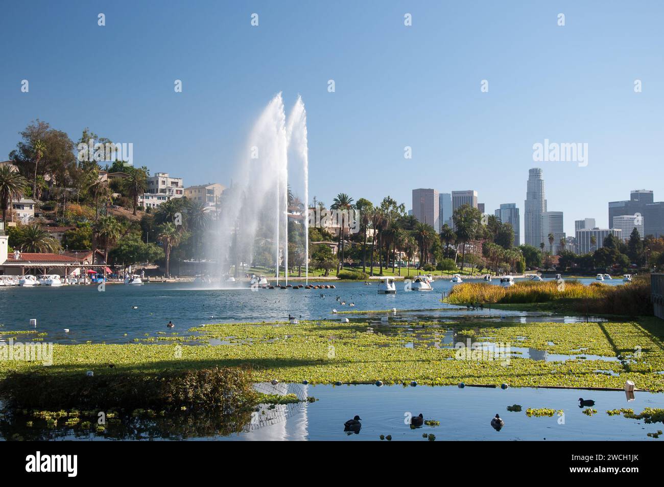 LOS ANGELES, CA, USA – OCTOBER 29, 2022: Echo Park lake with Swan boats, and downtown Los Angeles skyline in background Stock Photo