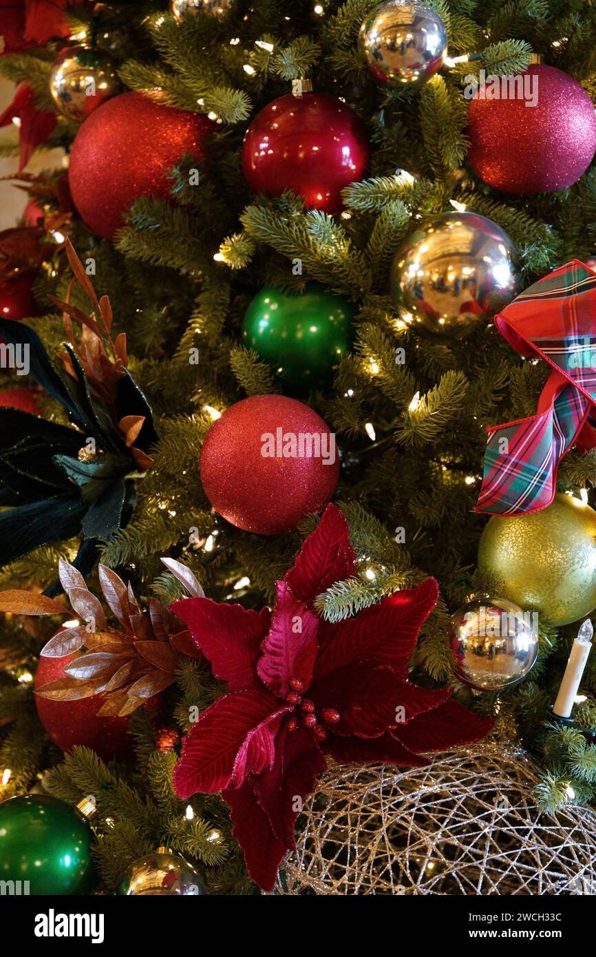 With a festive christmas tree hi-res stock photography and images - Alamy