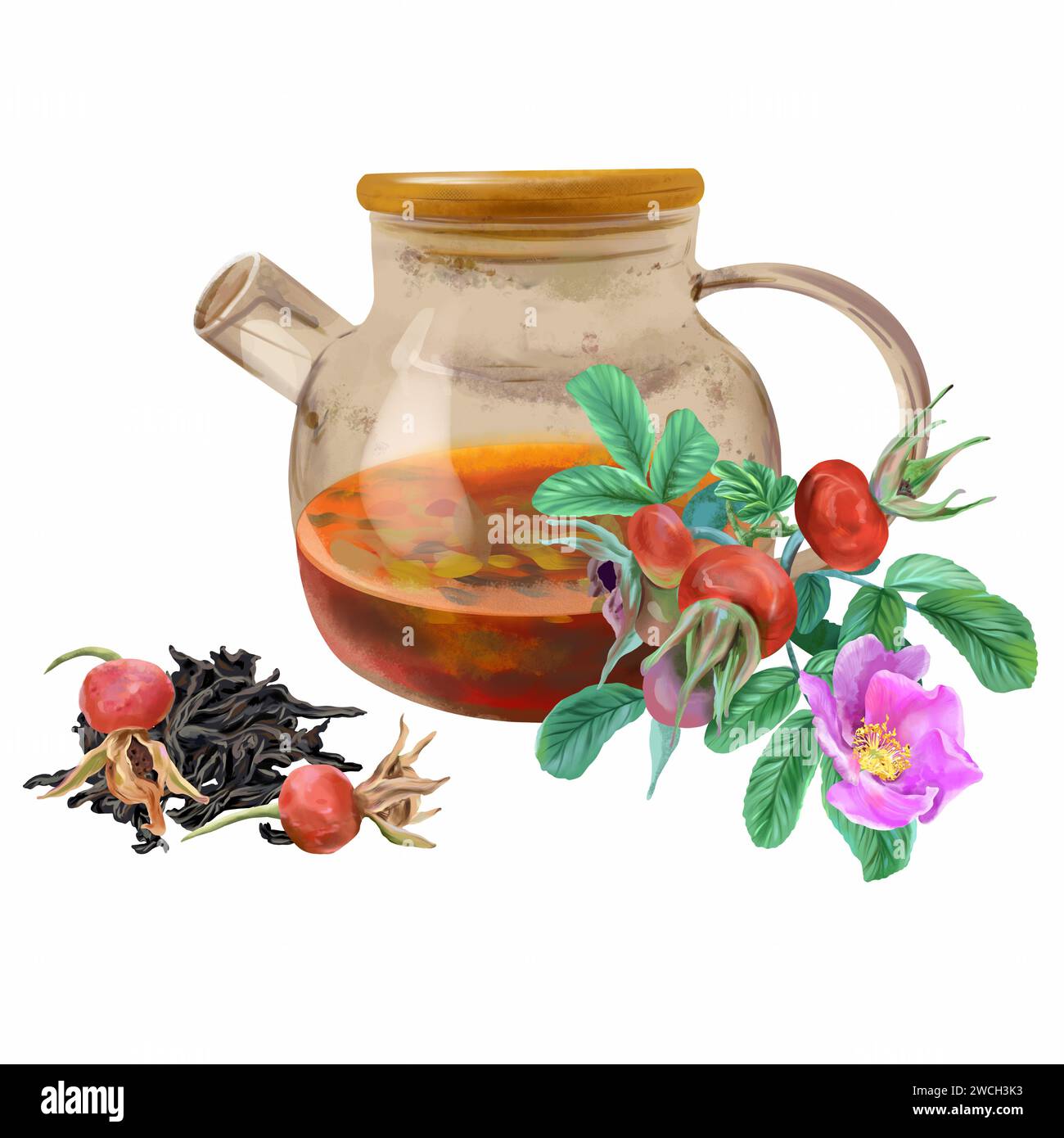 Teapot, rose hips, dry tea leaves. Graphic illustration isolated on white background. Design element for cards, packaging, labels, covers, flyers, ban Stock Photo
