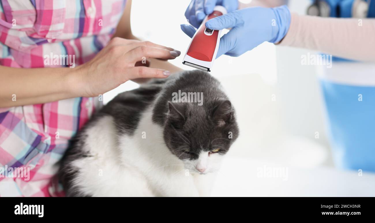 Veterinarians appointment hi-res stock photography and images - Alamy