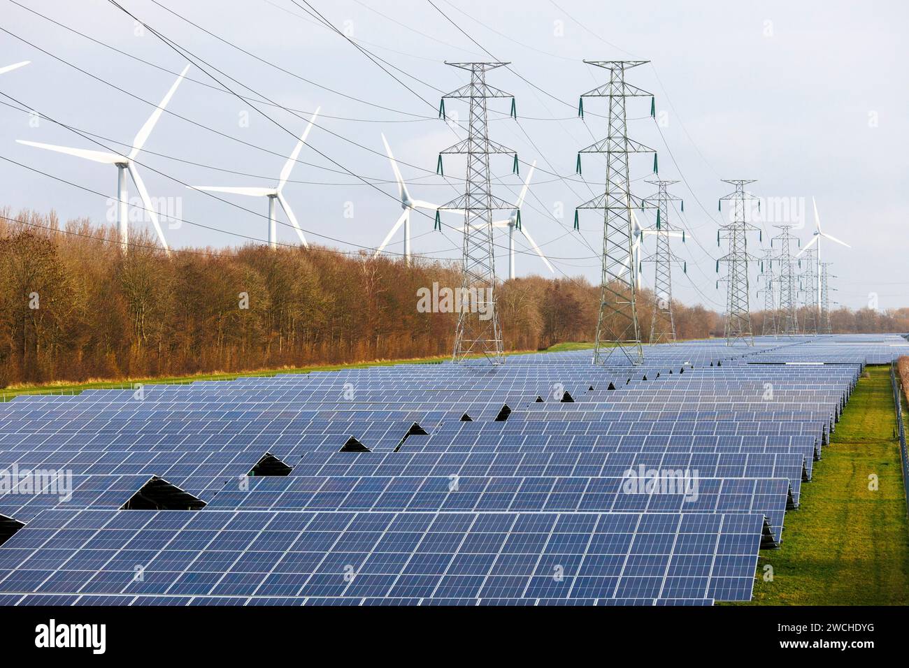 large solar park and wind turbines at the port of Vlissingen, Walcheren, Zeeland, Netherlands.  grosser Solarpark und Windraeder am Hafen von Vlissing Stock Photo
