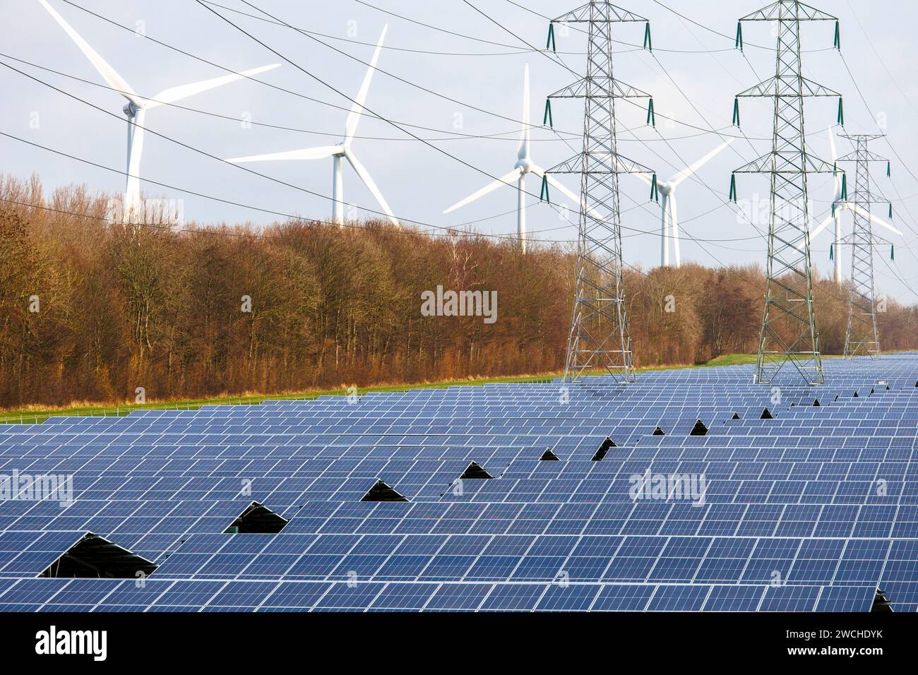 large solar park and wind turbines at the port of Vlissingen, Walcheren, Zeeland, Netherlands.  grosser Solarpark und Windraeder am Hafen von Vlissing Stock Photo