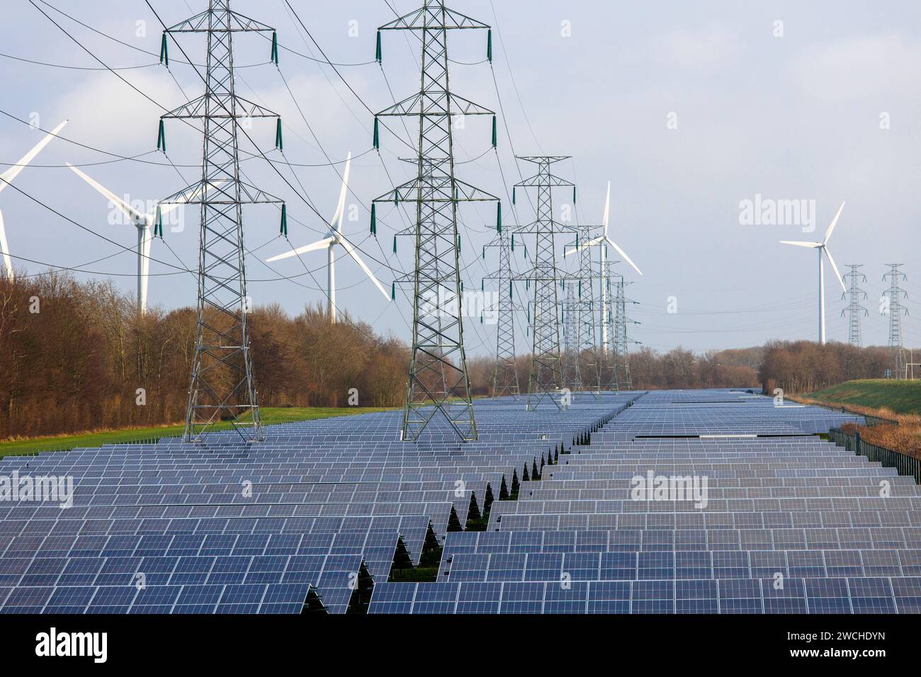 large solar park and wind turbines at the port of Vlissingen, Walcheren, Zeeland, Netherlands.  grosser Solarpark und Windraeder am Hafen von Vlissing Stock Photo