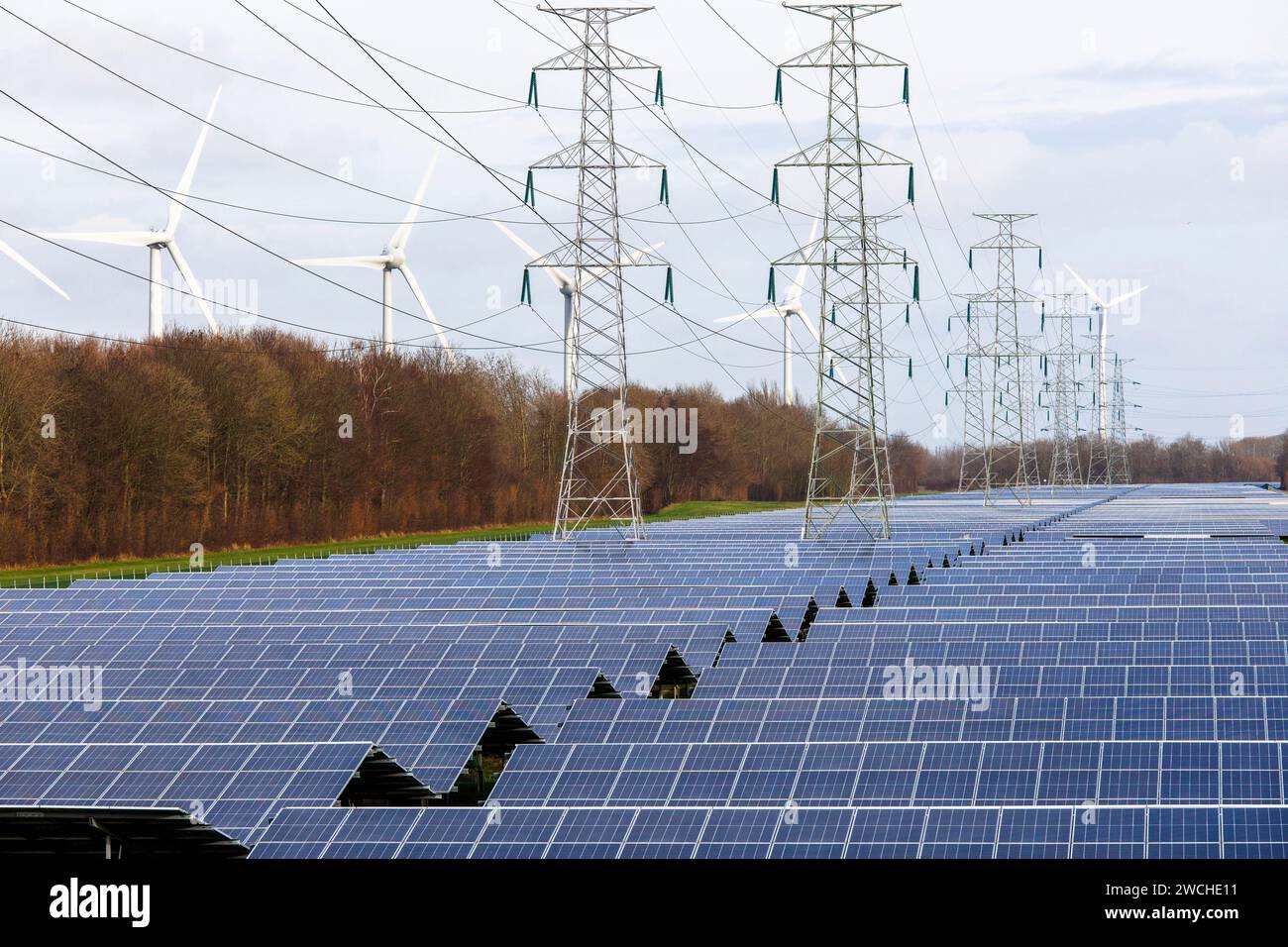 large solar park and wind turbines at the port of Vlissingen, Walcheren, Zeeland, Netherlands.  grosser Solarpark und Windraeder am Hafen von Vlissing Stock Photo
