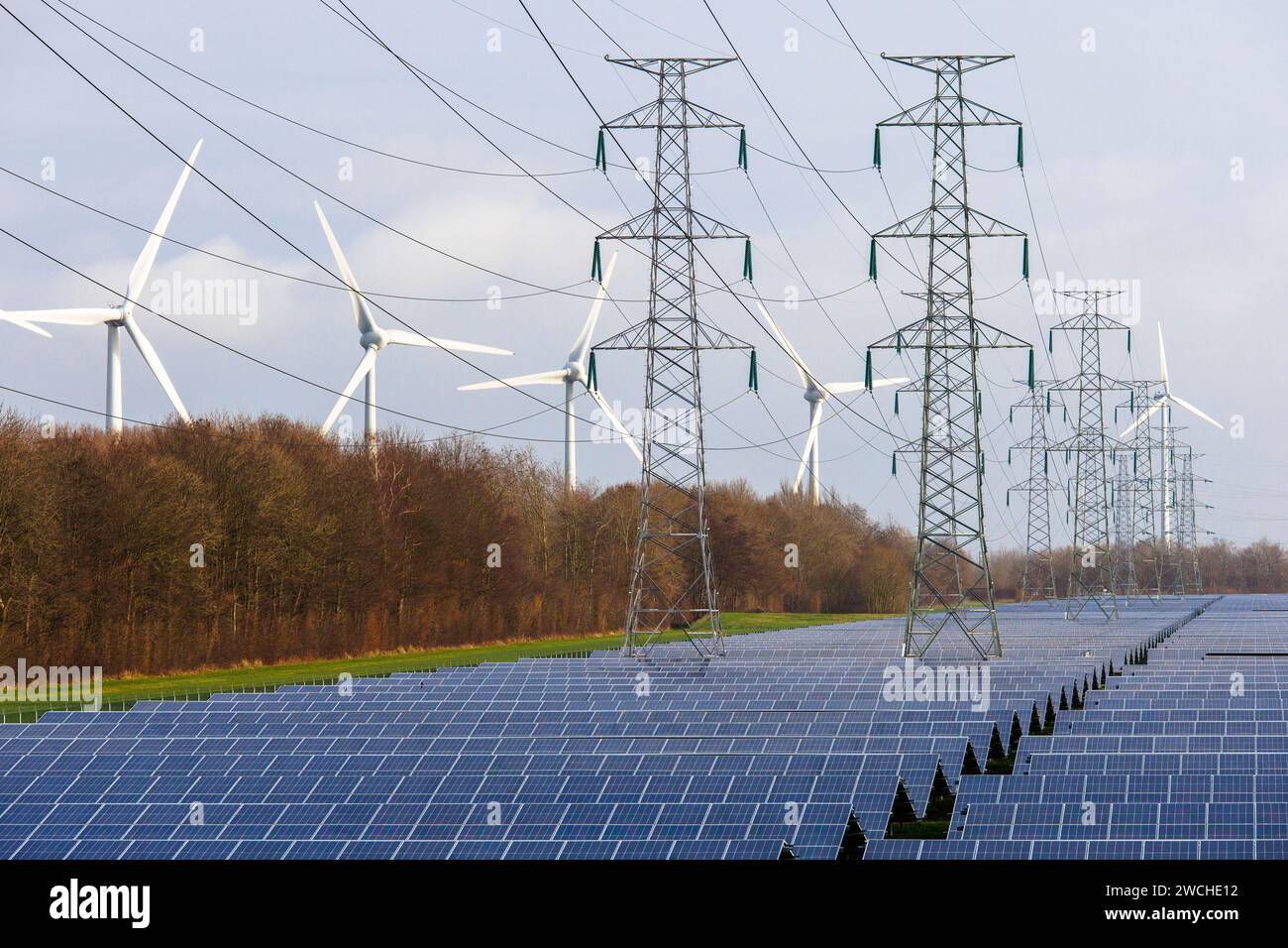 large solar park and wind turbines at the port of Vlissingen, Walcheren, Zeeland, Netherlands.  grosser Solarpark und Windraeder am Hafen von Vlissing Stock Photo
