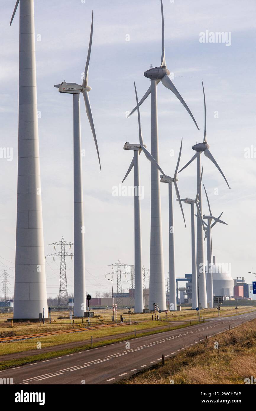 wind turbines at the port of Vlissingen, in the background the nuclear power station Borssele, Walcheren, Zeeland, Netherlands.  Windraeder im Hafen v Stock Photo