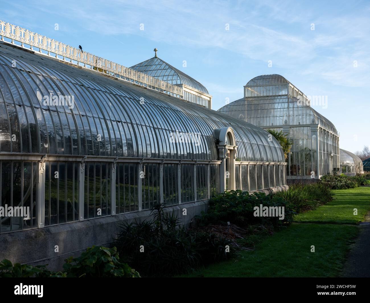 The Great Palm House at the National Botanical Gardens of Ireland, in