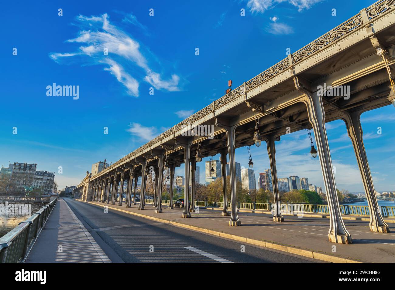 Paris France, city skyline at Seine River and Bir-Hakeim Bridge Stock Photo