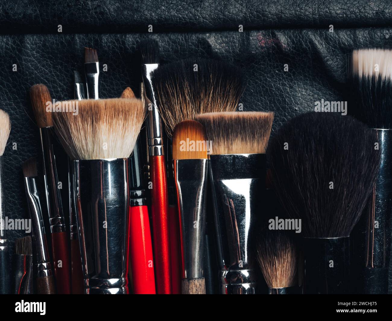 makeup brushes in professional leather case close-up Stock Photo